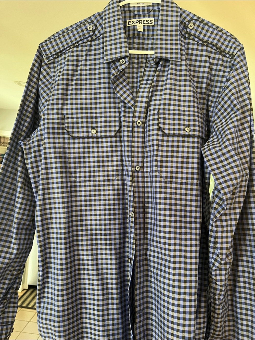 Express Men's Blue and Black Gingham Button-Down Shirt